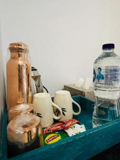 Heritage House of Bindu with Palace View - 7