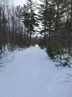 Unplug nd Reconnect in Peceful Off-Grid Cbin for Relxtion nd Nture Immersion in Beddington, Mine - 2