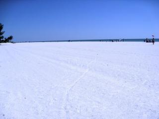 Anna Maria Island Beach View 207 - 6