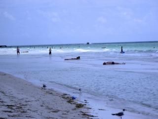 Anna Maria Island Beach View 207 - 1