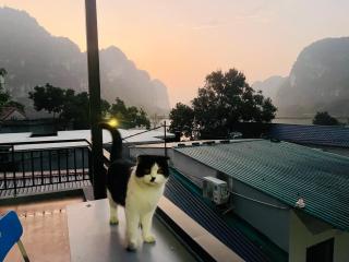 Trang An Pristine View Homestay - 9