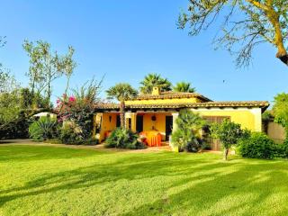 Villa with Saltwater Pool and Large Garden in Selinunte - 8