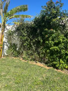 Dar Selima Hammamet - 3