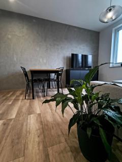 Nowe apartamenty SOLAR, Padel & Tenis, Parking, Blisko centrum - 9