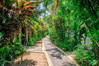 Bali Dream Garden - 6