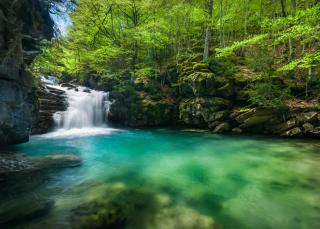 Jardín de Saras by BeValle - 7