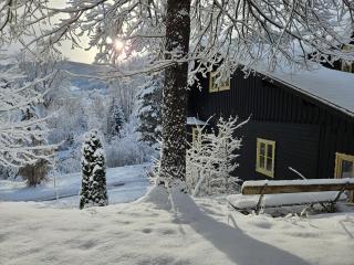 Bergnest im Prielkreuz - Großes Appartment im Ski und Wandergebiet - 9