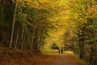 Casa Lite by BeValle - 6