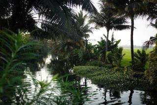 Vedic Village Retreat Alleppey - 7