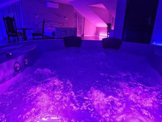 Hotel Wellness & SPA Antyczny Dwór - 5