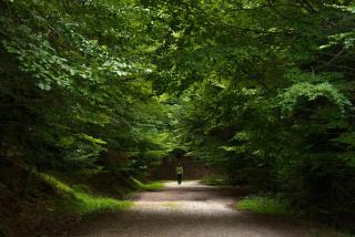 La Buhardilla de Menta by BeValle - 7