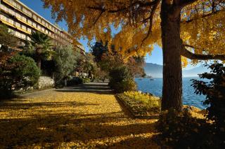 Royal Plaza Montreux - Montreux - 9