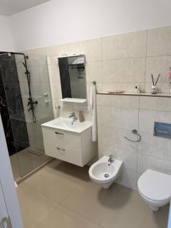 Day Studio apartment for rent in hotel regime - 4