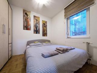 Stay & smile Novi Sad 222 - 5
