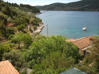 Apartment Vjeka - Vela Luka (Vallegrande) - 3