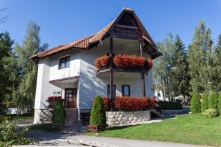 Vila Zlatiborski biser - Zlatibor - 0