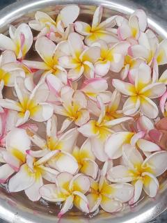 Green Park Haven Villa - Hikkaduwa - 8