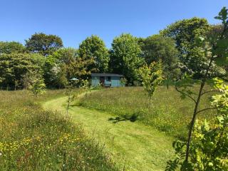 Wild Meadow Camping - 7