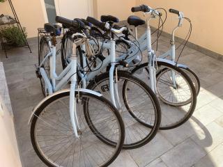 Viareggio, Sweet home - 3