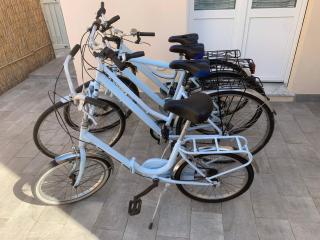 Viareggio, Sweet home - 7