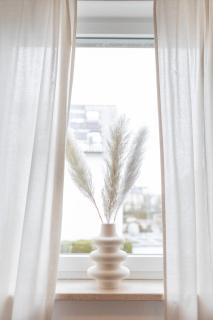City Green Appartement - 2