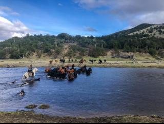 Windy River Ecolodge All Inclusive - 6