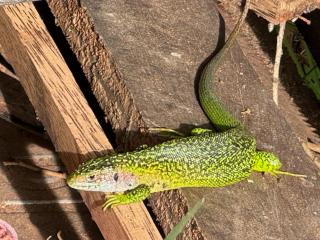 domaine de Marbot - 1