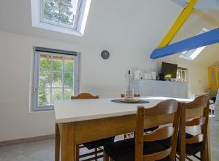 Le paradis des ecureuils - 1