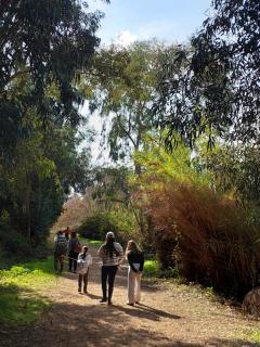 בדרך לנחל הבניאס - 1