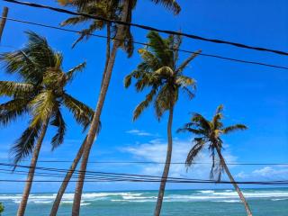 Turtle Sea Polhena - 4