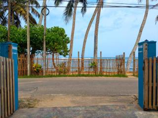 Turtle Sea Polhena - 3