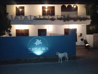 Turtle Sea Polhena - 2