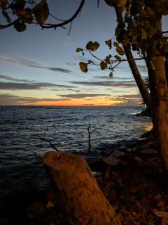 Turtle Sea Polhena - 1