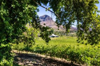 Florie se Huis - Paarl - 3