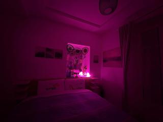 Flawer Flat - 10 min da MM Monte Grappa - Turin - 1