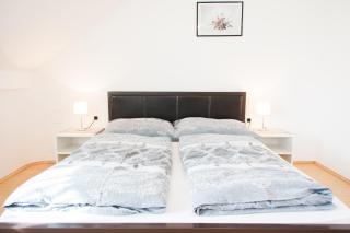 Rooms Garden Zagreb Airport - 5