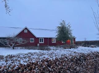 Gretas Hus - ett nyrenoverat torp på sydsvenska landsbygden - 4