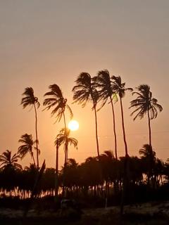 ArpoadorBangalôparaísoperdido - 0