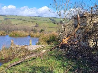 Cornflour Cozy Cabin Retreat - 4