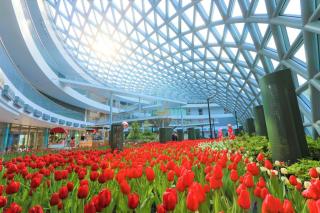 SCN City Centre Hotel Rayong - 4