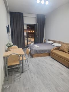 ახალი გუდაური საბაგიროსთან - Gudauri - 8