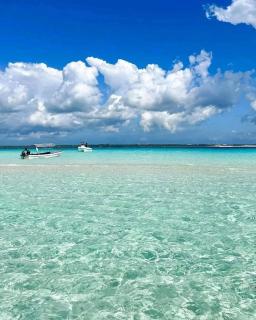 Sipano Beach Lodge Kiwengwa - 1