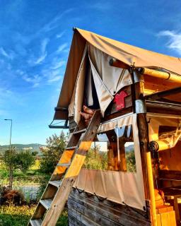 Les Lodges de la ViaRhôna - Tentes Lodges - 9