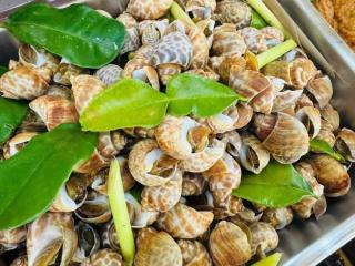 ไทยพราส - 4