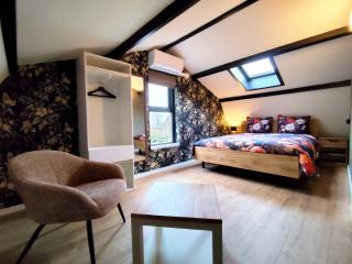 Morning Glory Huisje Salvia - 1