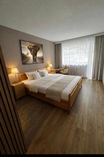 Hotel Schwanenweiher Bad Bertrich - 8