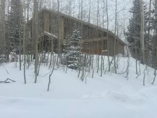 True Ski In-Out on Maryland Parkway Trail Chair 4 - 0