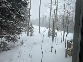 True Ski In-Out on Maryland Parkway Trail Chair 4 - 8