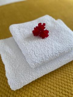 Druid House Lodge - 4