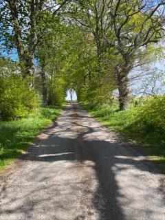 Druid House Lodge - 9